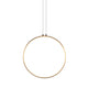 Gaturn3 (Tunable) Brass / 100 Cm Hanging Lamp
