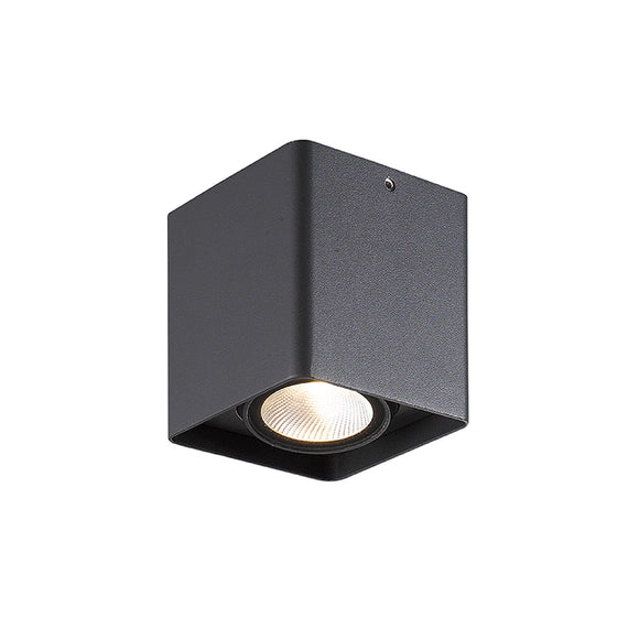 ZEIL-BK Exterior Surface Downlight - Lamptitude