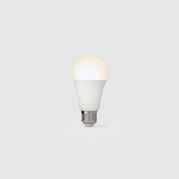 E27 BULB