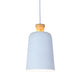 BOCCI-PS Hanging Lamp - Lamptitude