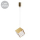 Cane-P1-Gd Clear / Gold Hanging Lamp