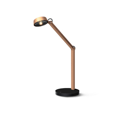CHAPTER-T-CCT Arctic gold Table Lamp