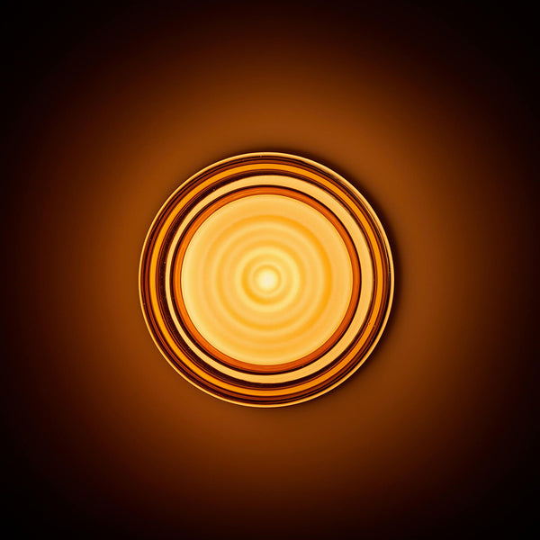 DENSA-D-W-5W-AMBER Wall Lamp - Lamptitude