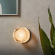 DENSA-D-W-5W-AMBER Wall Lamp - Lamptitude
