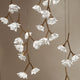 FLORETE-PM-GD Gold Hanging Lamp