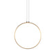 Gaturn3 (Tunable) Brass / 100 Cm Hanging Lamp