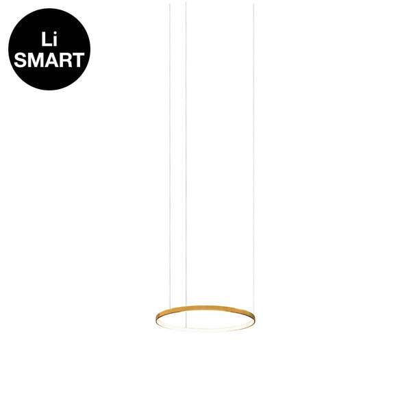 Gaturn4 (Tunable) Brass / 60 Cm Hanging Lamp