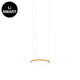 Gaturn4 (Tunable) Brass / 60 Cm Hanging Lamp