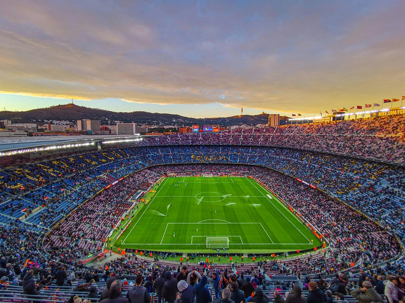 Stadiums and Other Sports Facilities