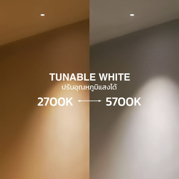 LMINI-16D-2.7K-5.7K-WH-TW-NDV White Recessed Downlight