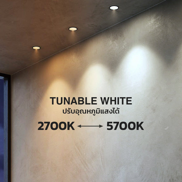 LMINI-36D-2.7K-5.7K-WH-TW-NDV White Recessed Downlight