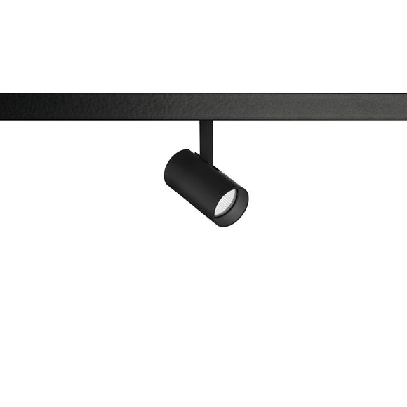 M15-TRACK-40-12W-25D-2.7K-6.0K-TW-DALI-BK Track Light - Lamptitude