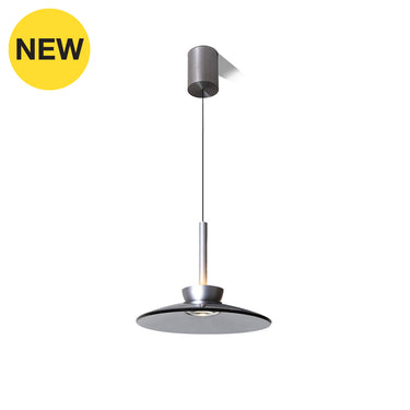 Maras-Ps Space Grey Hanging Lamp