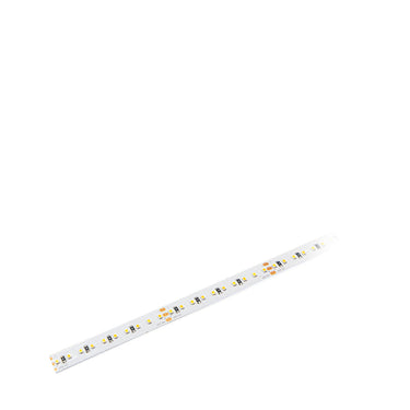 P-Ribbon-923-40-14.4W-Tw White / 2700K-6000K Strip Light