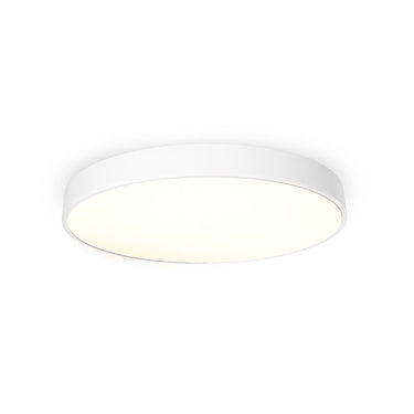 Rodo-C80-Ww Sanded White Ceiling Lamp