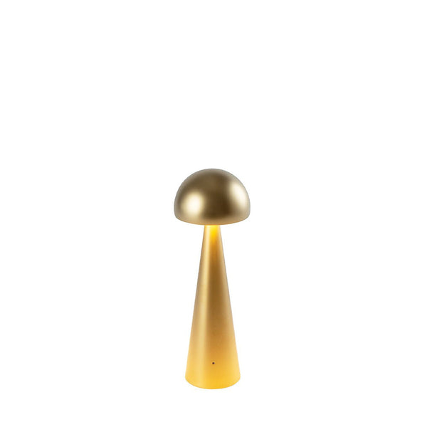 TINY - Matt Gold - Rechargeable Lamp