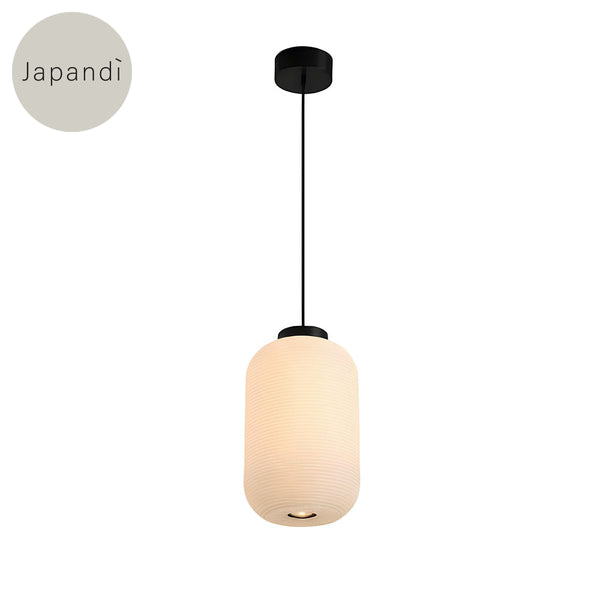 Vib-Ps Hanging Lamp