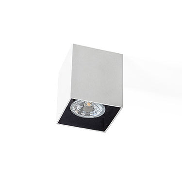 GXS-CEIL Downlight - Lamptitude