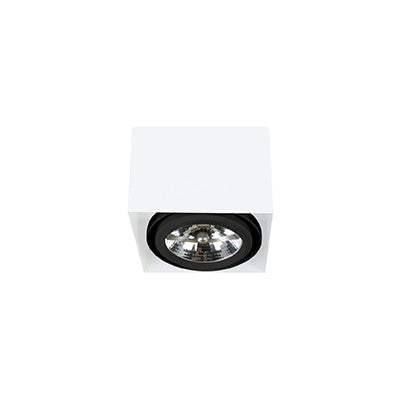 QN-BOX-1 Downlight - Lamptitude